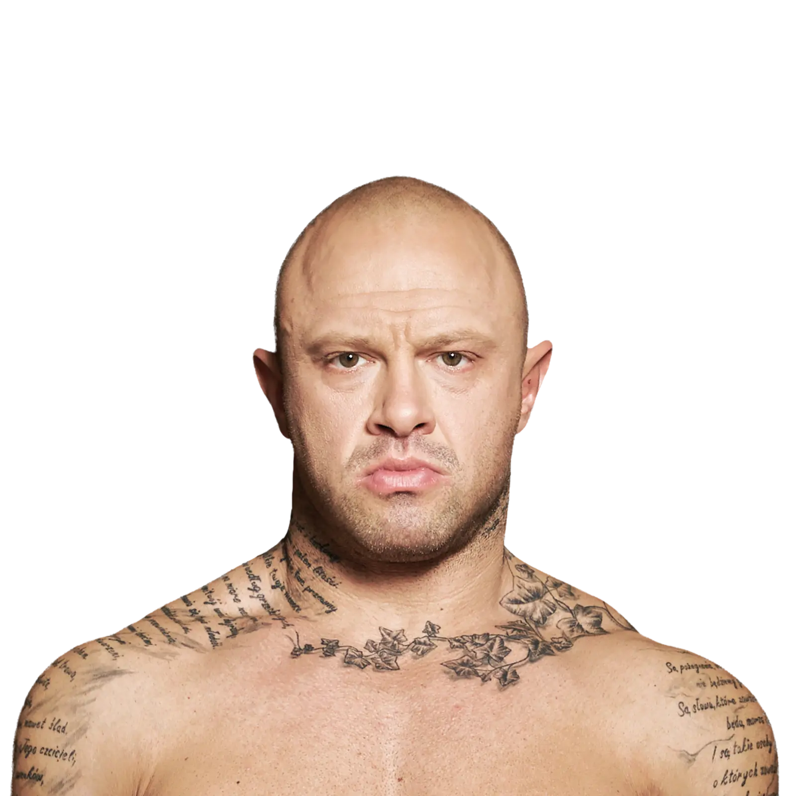 Piotr Piechowiak